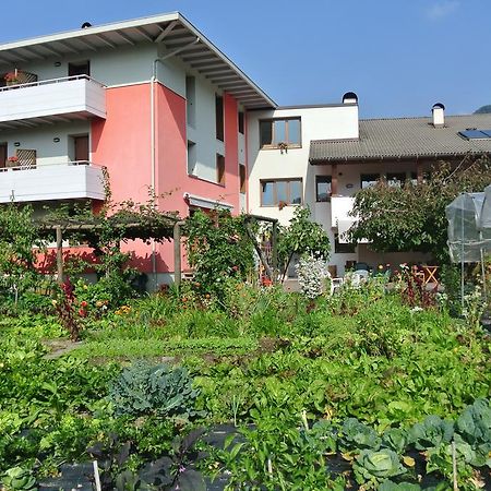 Agriturismo Bortolotti بيرجيني فالسويانا المظهر الخارجي الصورة