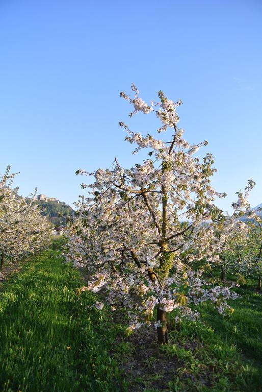 Agriturismo Bortolotti بيرجيني فالسويانا المظهر الخارجي الصورة
