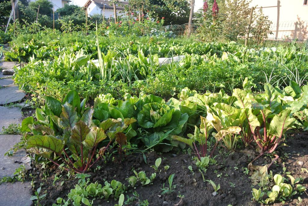 Agriturismo Bortolotti بيرجيني فالسويانا المظهر الخارجي الصورة