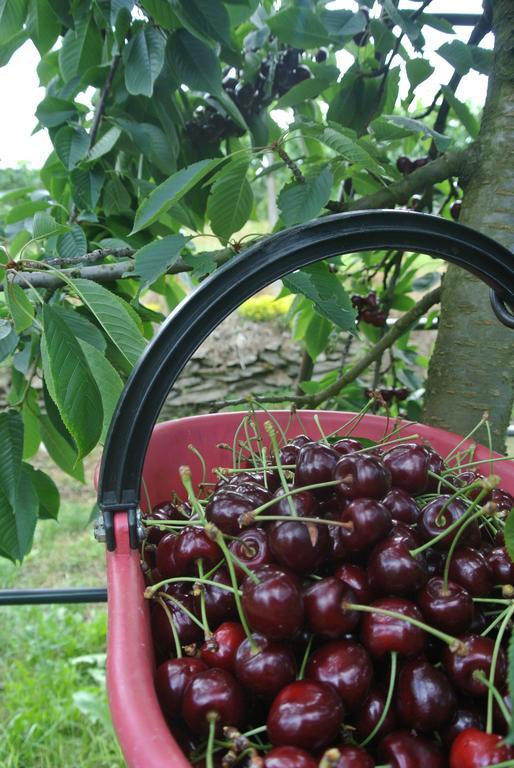 Agriturismo Bortolotti بيرجيني فالسويانا المظهر الخارجي الصورة