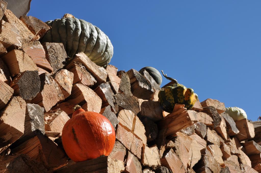 Agriturismo Bortolotti بيرجيني فالسويانا المظهر الخارجي الصورة